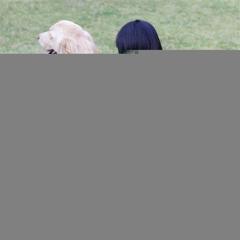 

Водонепроницаемые теплые товары для домашних животных для кемпинга переносной Коврик для собак и кошек одеяло для домашних животных