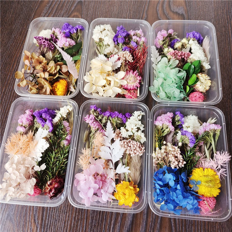 

1 Box Real Dried Flower Dry Plants for Aromatherapy Candle Epoxy Resin Pendant Necklace Jewelry Making Craft DIY Accessories