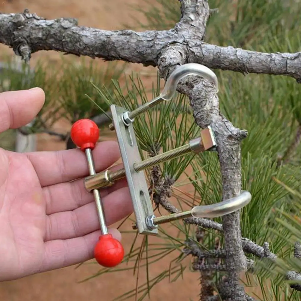 

Bonsai Branch Bender Tools Kit Exceptional Steel Gardening Care Wonderful Installation Tree Trunk Bender Regulator Tronconeuse