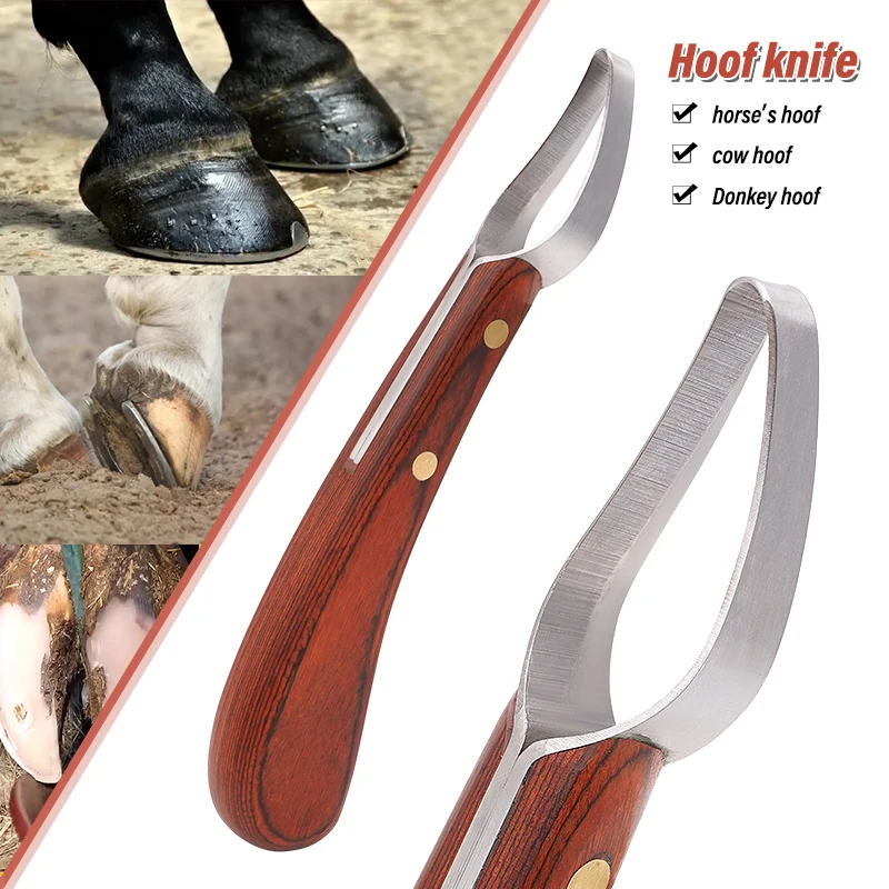 

1 Pcs Sheep Hoof Trimmer Blade Edge Cattle Horse Hoof Knife Shears Cutter Multipurpose Hoof Wooden Handle Stainless Steel