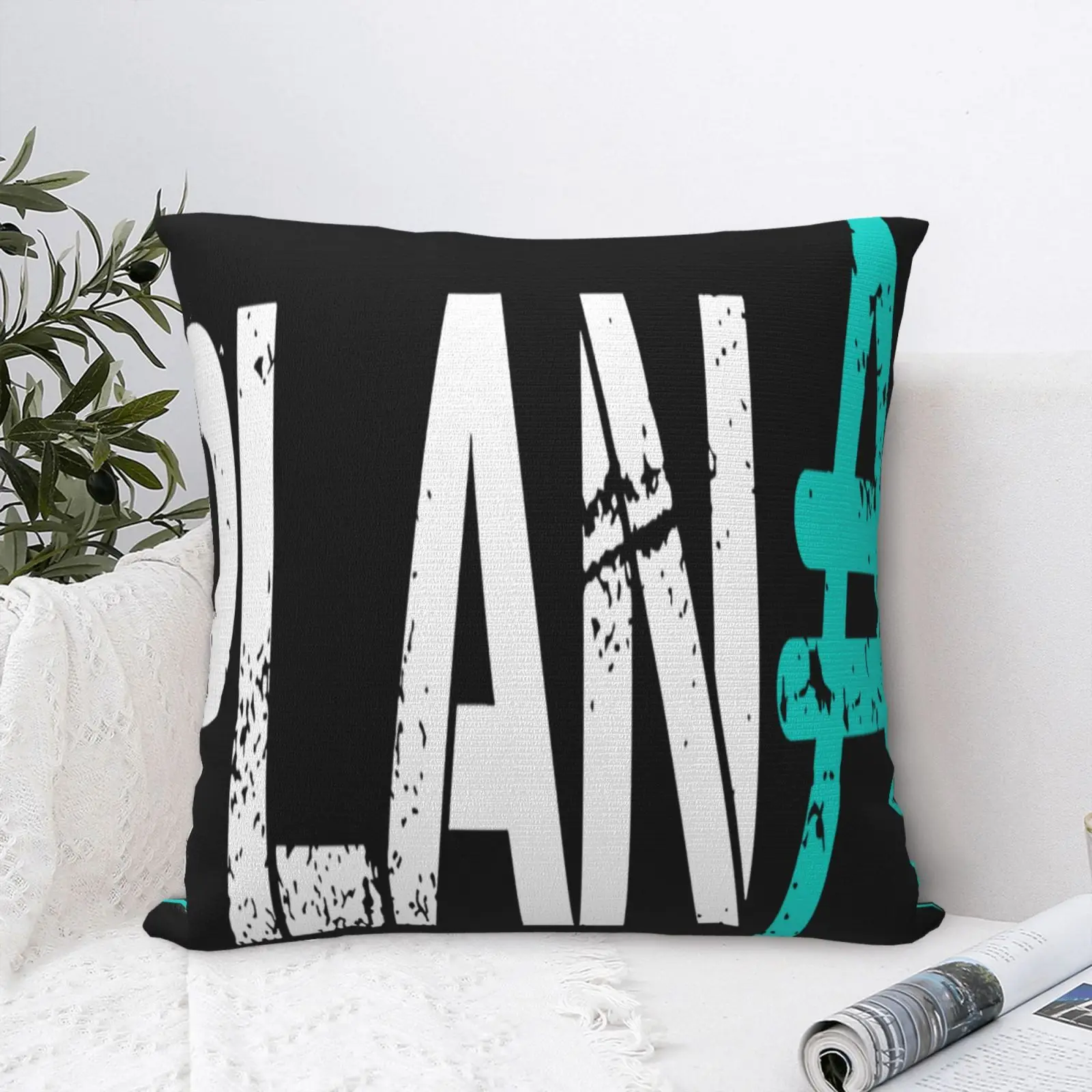 

Чехол-наволочка для подушки, с молнией и надписью «Hodl»