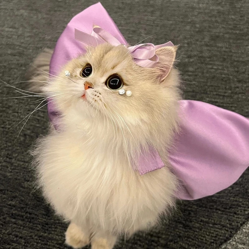 Женское кольцо для шеи с бантом том в виде кошки