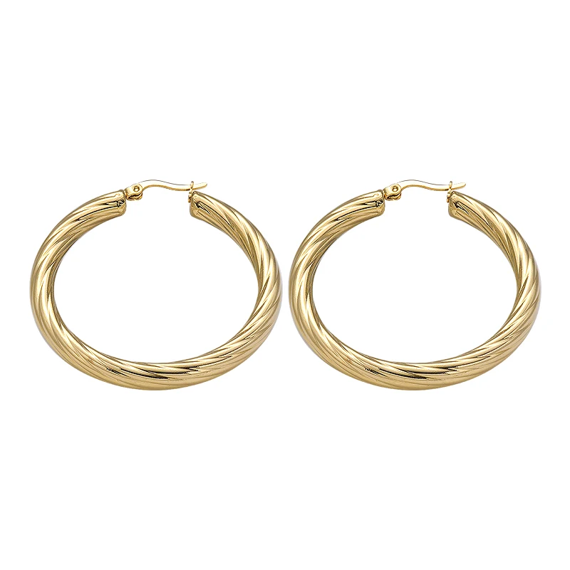 

Stainless Steel Earring Trendy Exquisite Hoop Earrings For Women Fashion Gold Geometirc Christmas Gift Female Jewelry