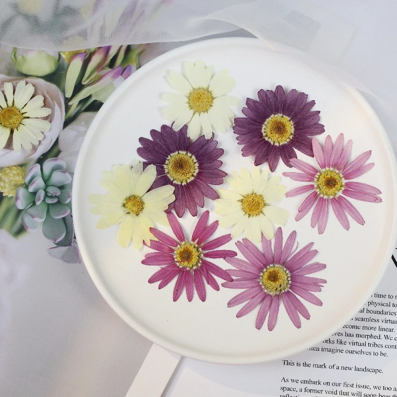 120 шт., разноцветные растения для эпоксидной смолы