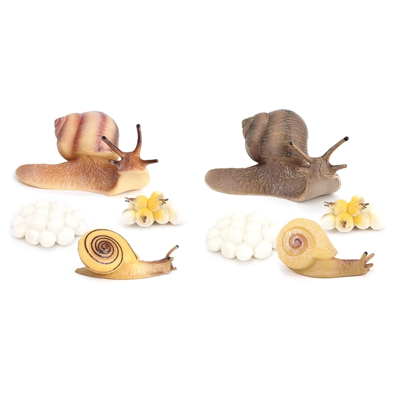 

4Pcs Simulation Snail Growth Model,Insect Life Growth Cycle Model,Simulation Growth Science Educational Toys
