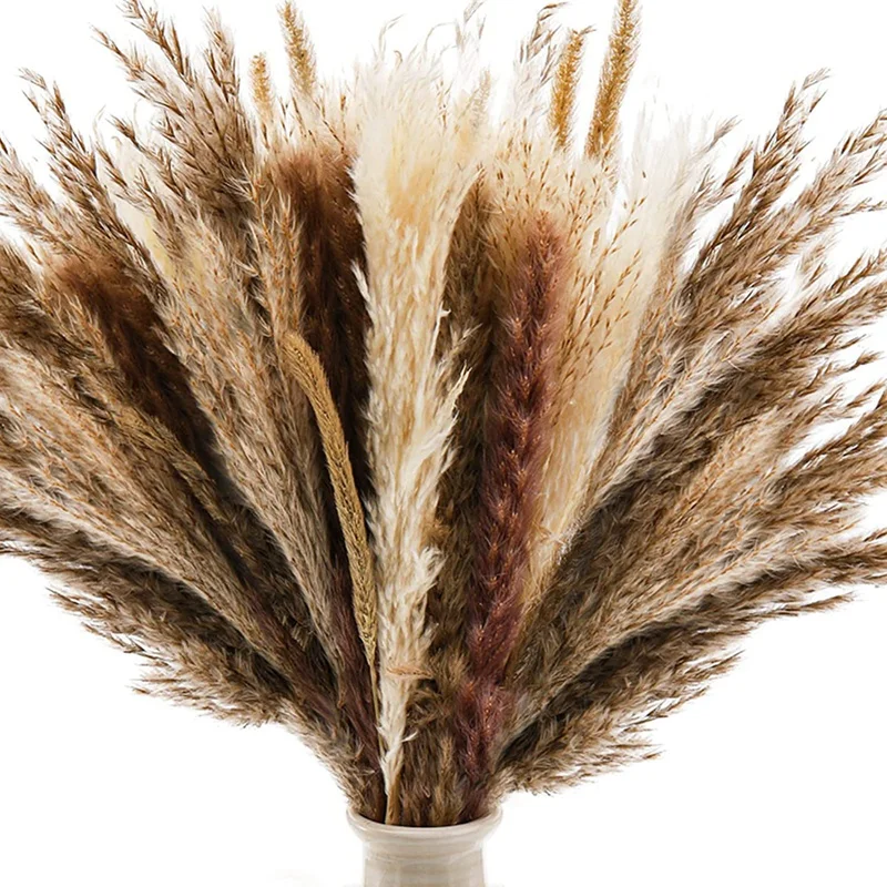 

75 Pcs Dried Pampas Grass, Dried Bunny Tail Grass Bouquet, Boho Fluffy Stems Dried Bundle For DIY Flower Arrangement