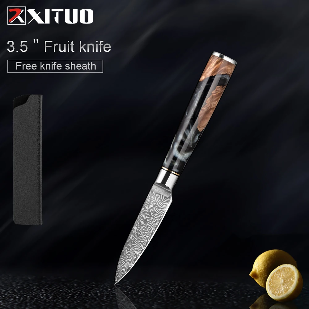 

XITUO 67-Layer Damascus Stainless Steel 3.5 Inch Fruit Knife Black Resin Handle Sharp Paring Slicing Knives Kitchen Accessories