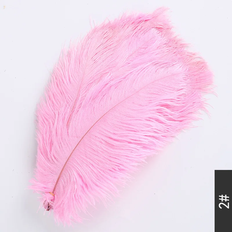 

50PC Multicolor Real Ostrich feather 45-50CM 18-20" Natural Ostrich Plume for Dress Clothing Decoration Sewing feathers Crafts