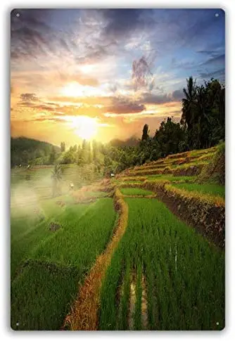 

Винтажный Ретро Металлический Настенный декор закат рисовых террас (рисовое поле)