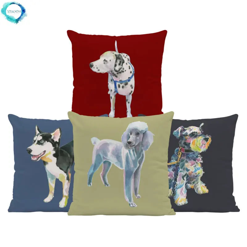 Sofa Pillow