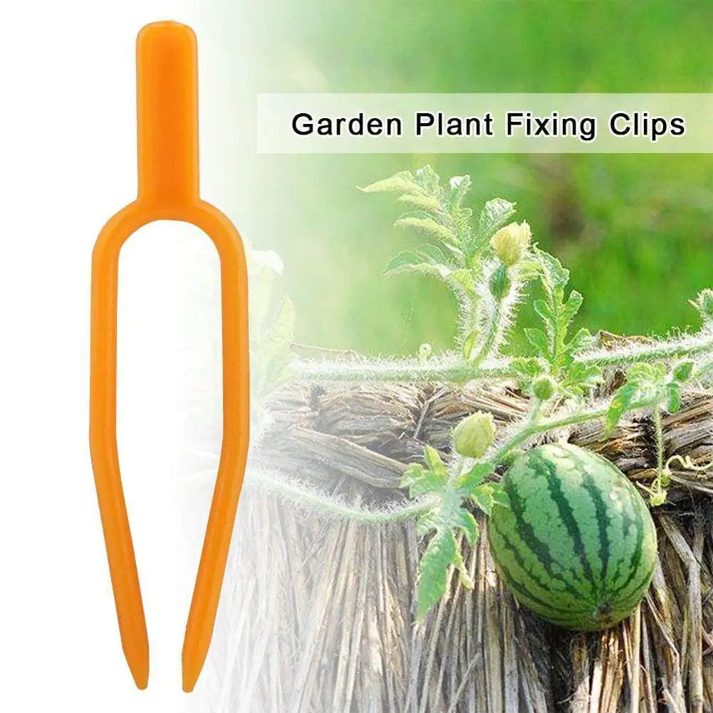 

50pcs Plant Stem Stolon Fixator 50mm 65mm Garden Strawberry Plant Watermelon Planting Fixture Clip Support Fork Fastening C I8d8