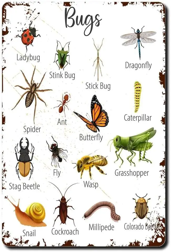 Tn Sgn nsect nml Bug Prntbles для Kds Lernng nmls Gft Boys Grls Chldren Rooms Pntng rt Fun Home Decor Bstro Crtel de Chp