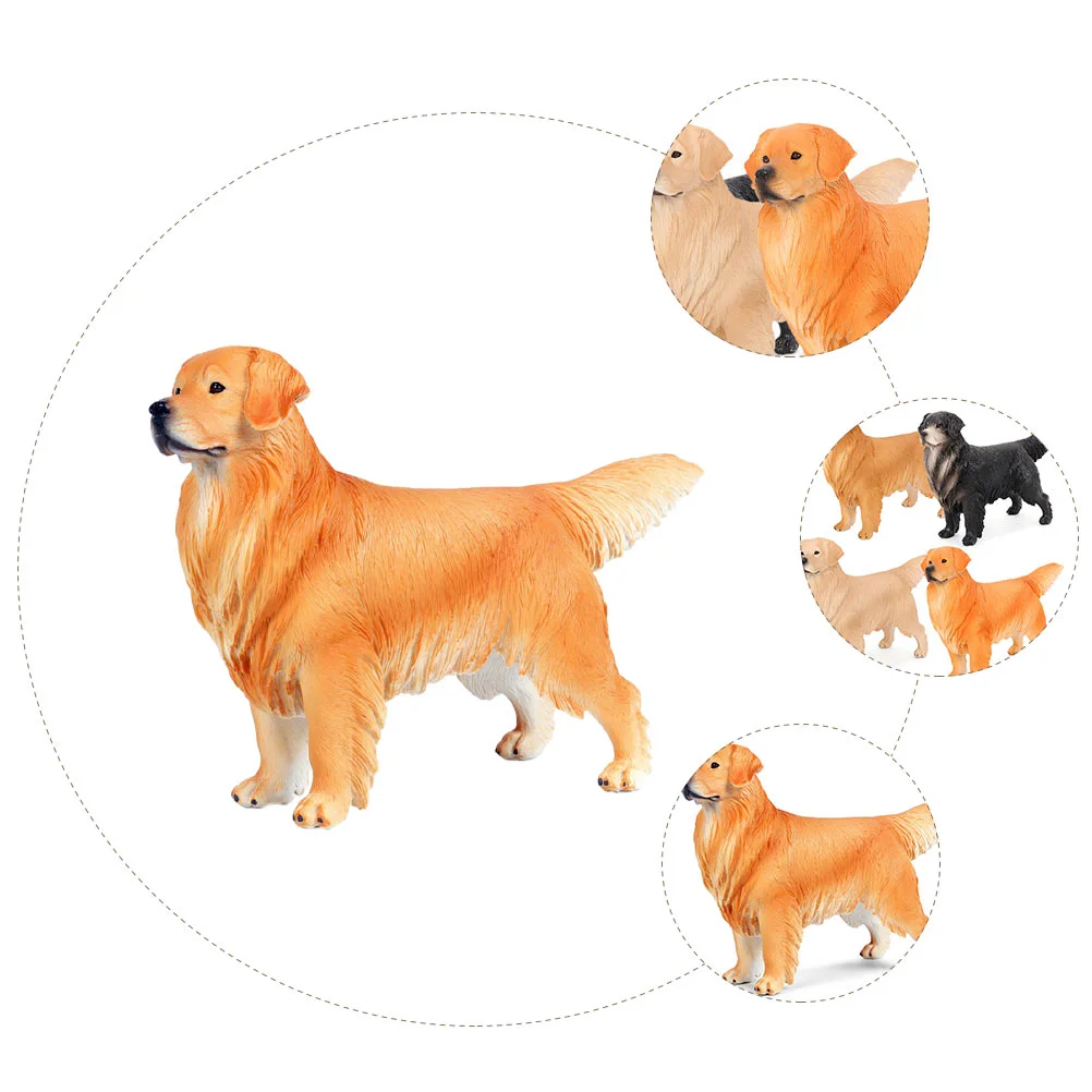 Рисунок 6 - Золотистый ретривер