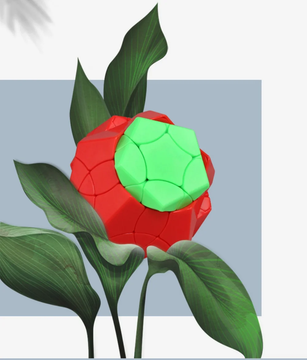 Shengshou Megaminx Cube BNCF матовый куб без наклеек профессиональная скорость волшебный