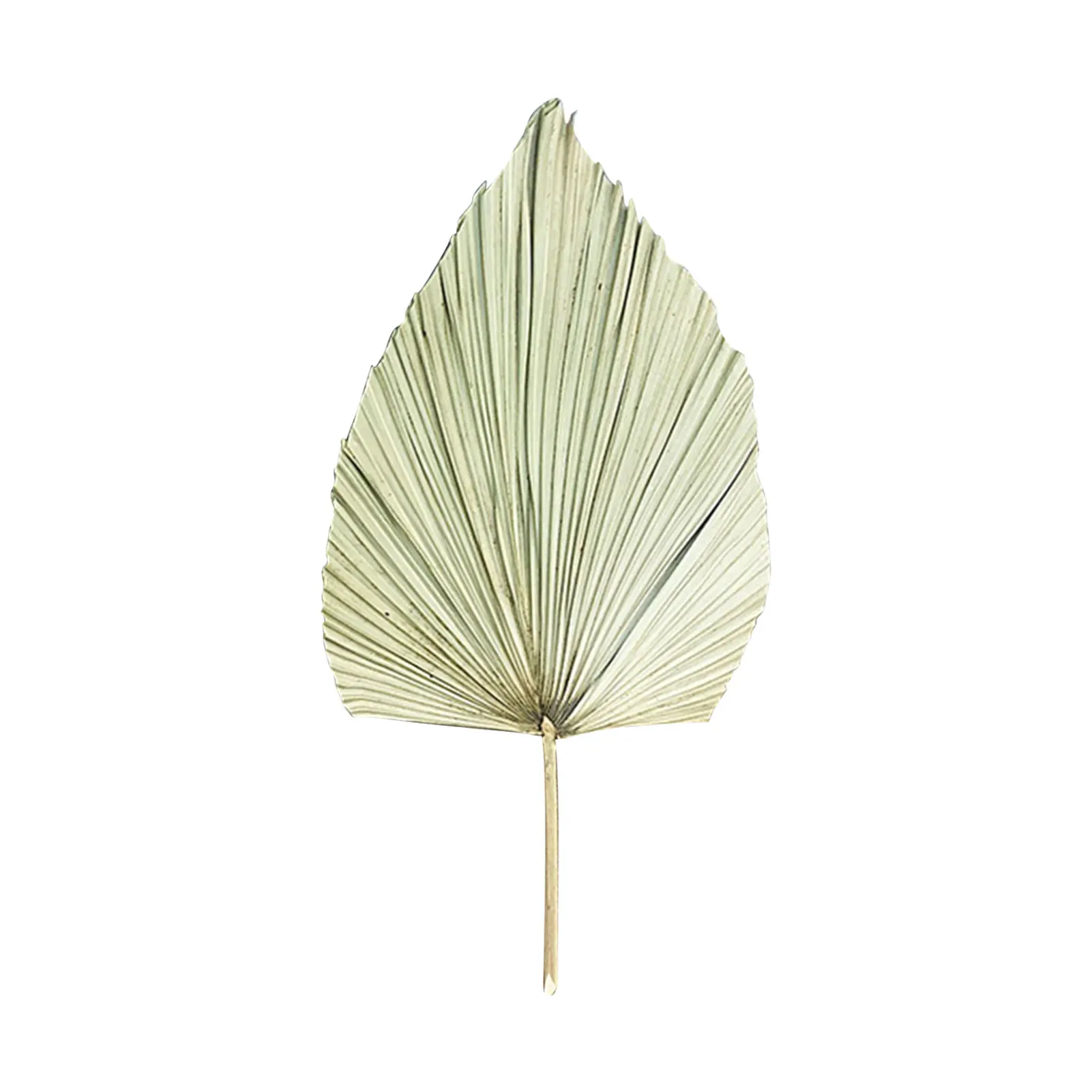 Искусственный веер листья подсолнечника Пальмовые Листья сушеный цветок окно