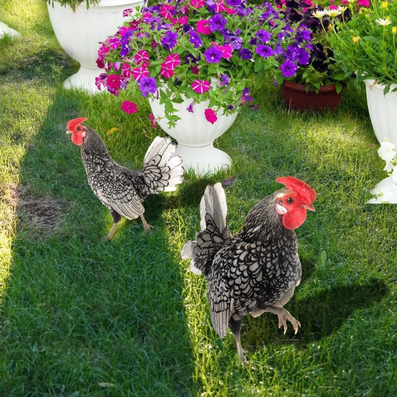 

[Home Decorations] Yklu081 Cross-Border Three-Dimensional Simulation Color Hen Courtyard Floor Outlet Yard Art Garden Outdoor De