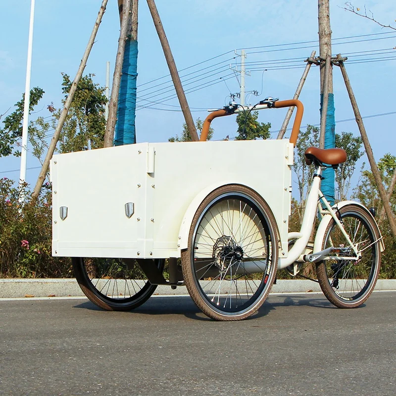 

Front Loading LCD displayracks electric cargo bike 36V lithium battery tricycle e-cargo bike bakfiets dutch tricycle for family