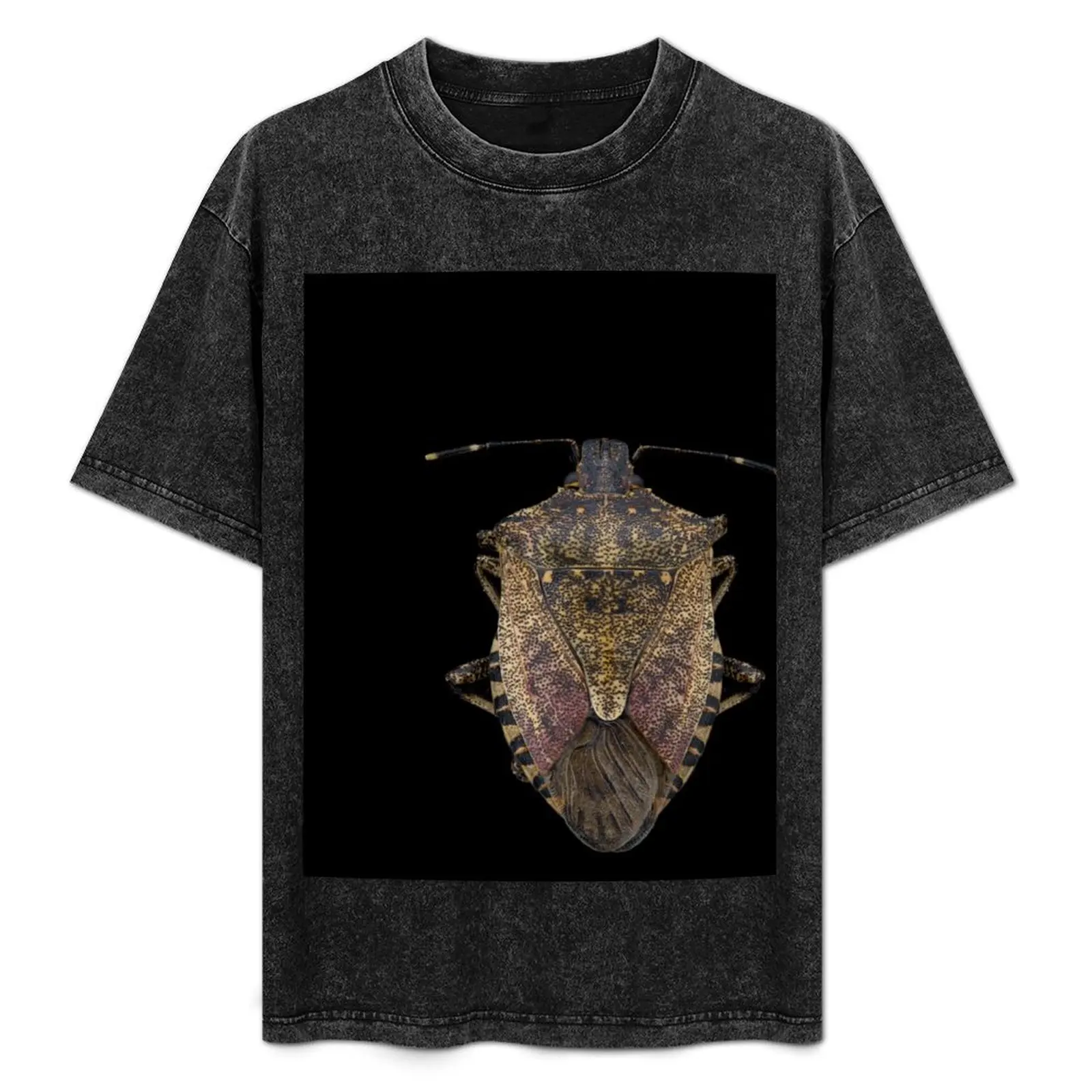 Коричневая футболка Marmorated Stink Bug (Halyomorpha halys) милые топы лето 2025 футболки больших
