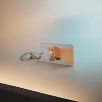 Обнаружен лучший брелок для ключей#2