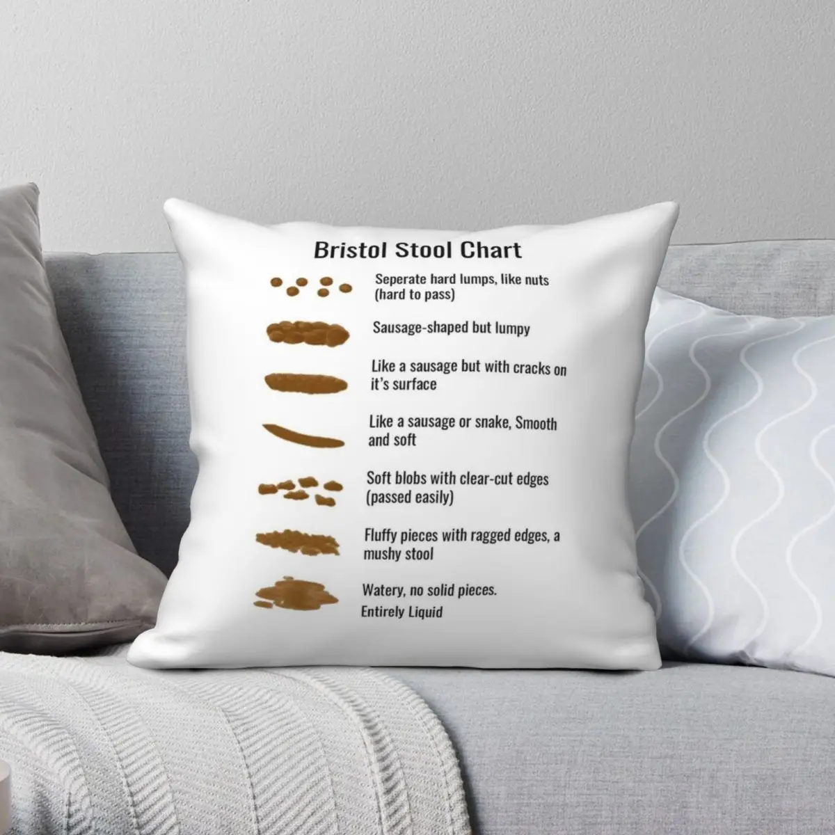

Bristol Stool Chart Square Pillowcase Polyester Linen Velvet Printed Zip Decor Sofa Seater Cushion Case