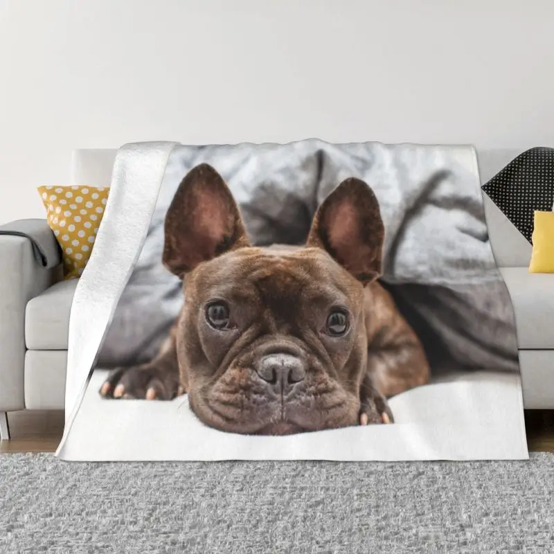 

French Bulldog Blanket Warm Fleece Soft Flannel Frenchie Dog Lover Throw Blankets for Bed Couch Outdoor Spring Autumn