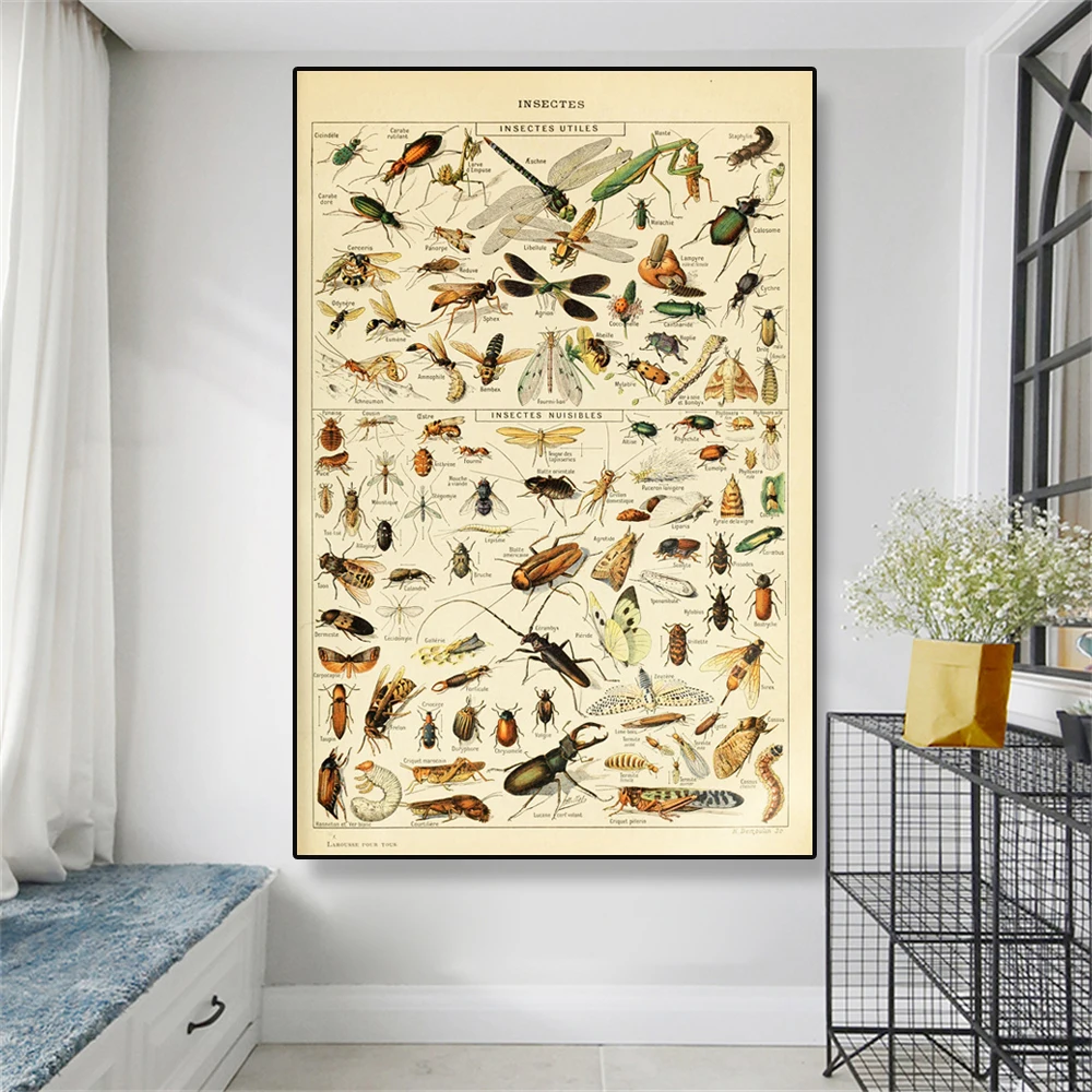 Винтажный научный постер с насекомыми таблица насекомых ботанический украшение