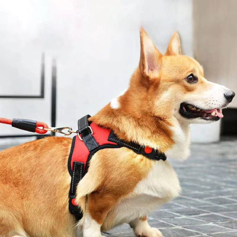 

Pet Dog and Cat Adjustable Harness with Leash Reflective and Breathable for Small and Large Dog Harness Vest Pet Supplies