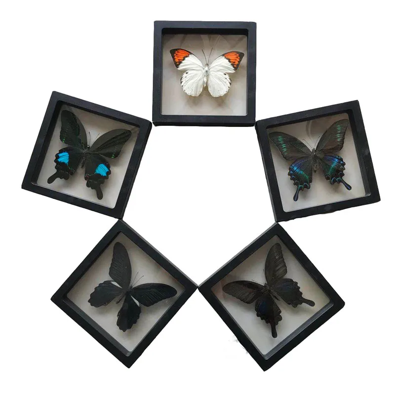 1 новый образец бабочки насекомых подарок на день рождения обучающий реквизит