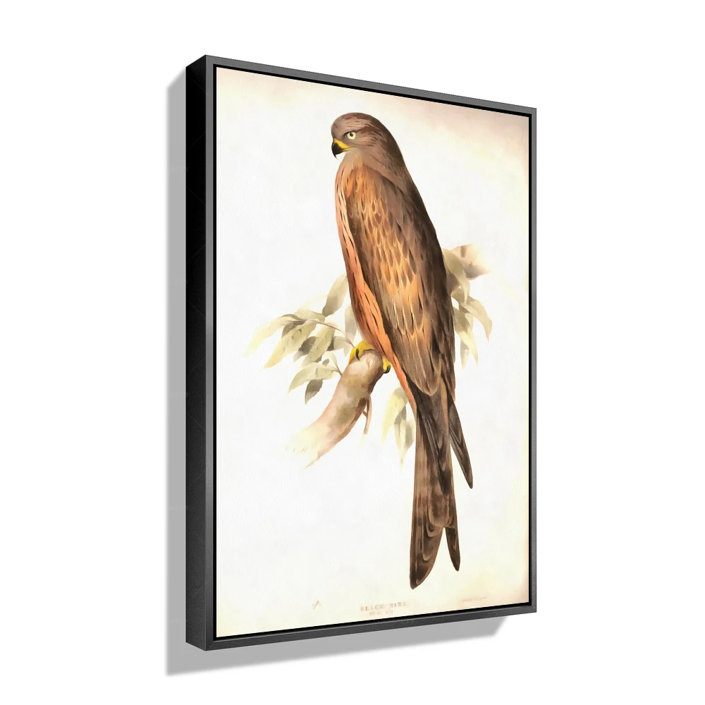 

Галерея Forbeauty с рамкой, водонепроницаемая картина маслом, экзотическая птица, авифауна, домашний декор на холсте с масляными картинами