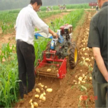 

Agricultural Machinery Potato Harvester