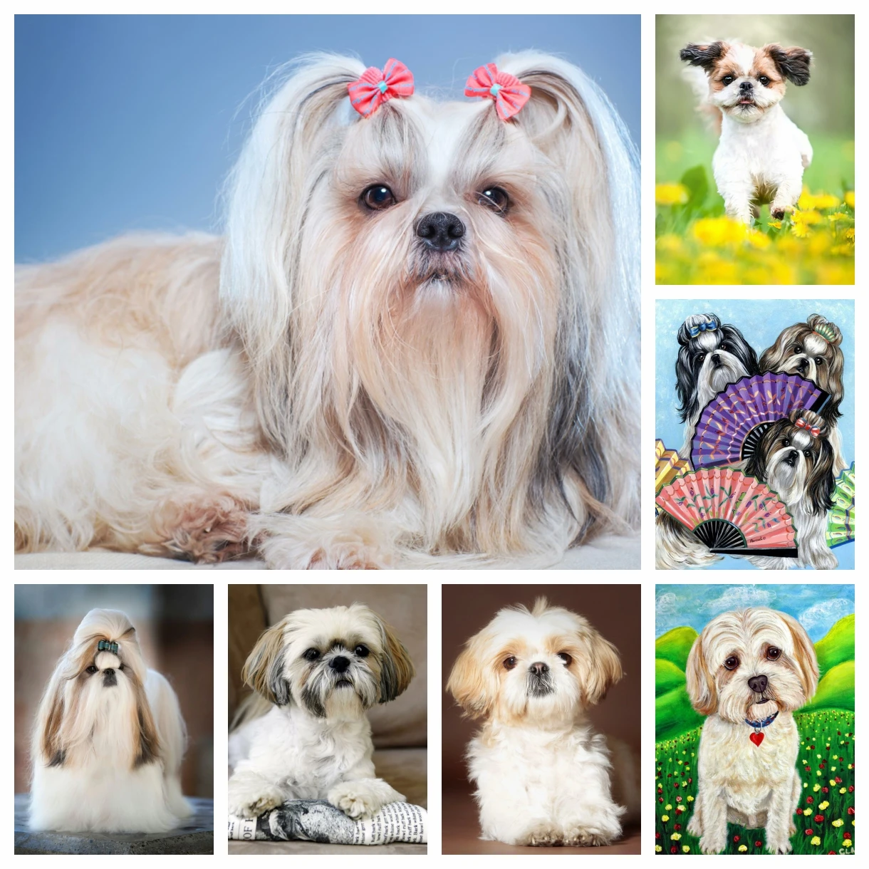 

Pet Dog Shih Tzu Diamond Rhinestones Painting Cute Animals Wall Art Cross Stitch Embroidery Picture Mosaic Bead Craft Home Decor