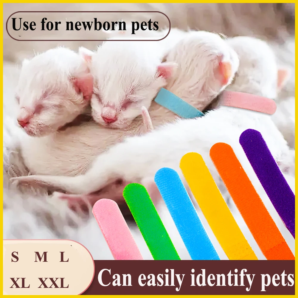 12PCS New Arrival Pet Identification Circle Neck Belt Puppy Cat Soft Collar Dog Mark Rope Canine Feline Newborn Home |