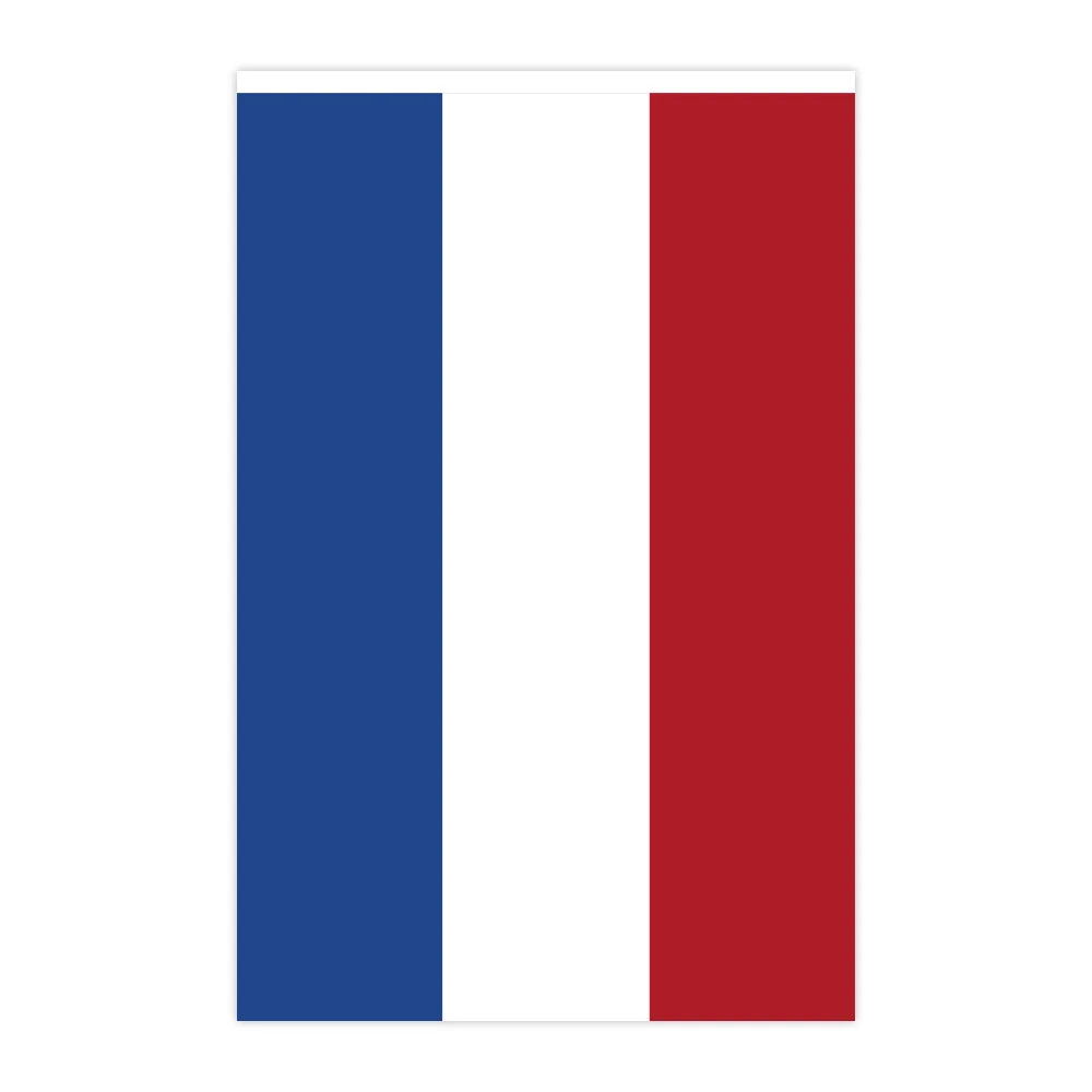 20 шт. декоративные флаги 14 х21 см