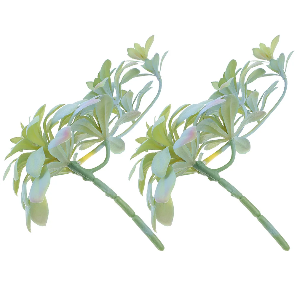 

Fake Fruit Simulation Plant Succulent House Decorations Home Wear-resistant Faux