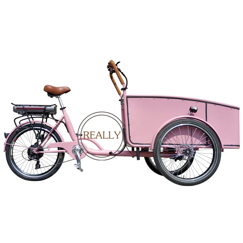 

Pedal Electric Dutch Passenger Tricycle Cargo Trike With Seats Cargo 3 Wheel Bike