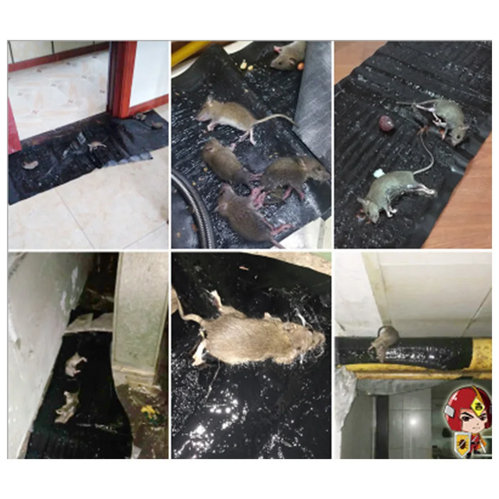 Мышь-ловушка клейкая для мыши безопасная приклеивающаяся офиса дома и сада