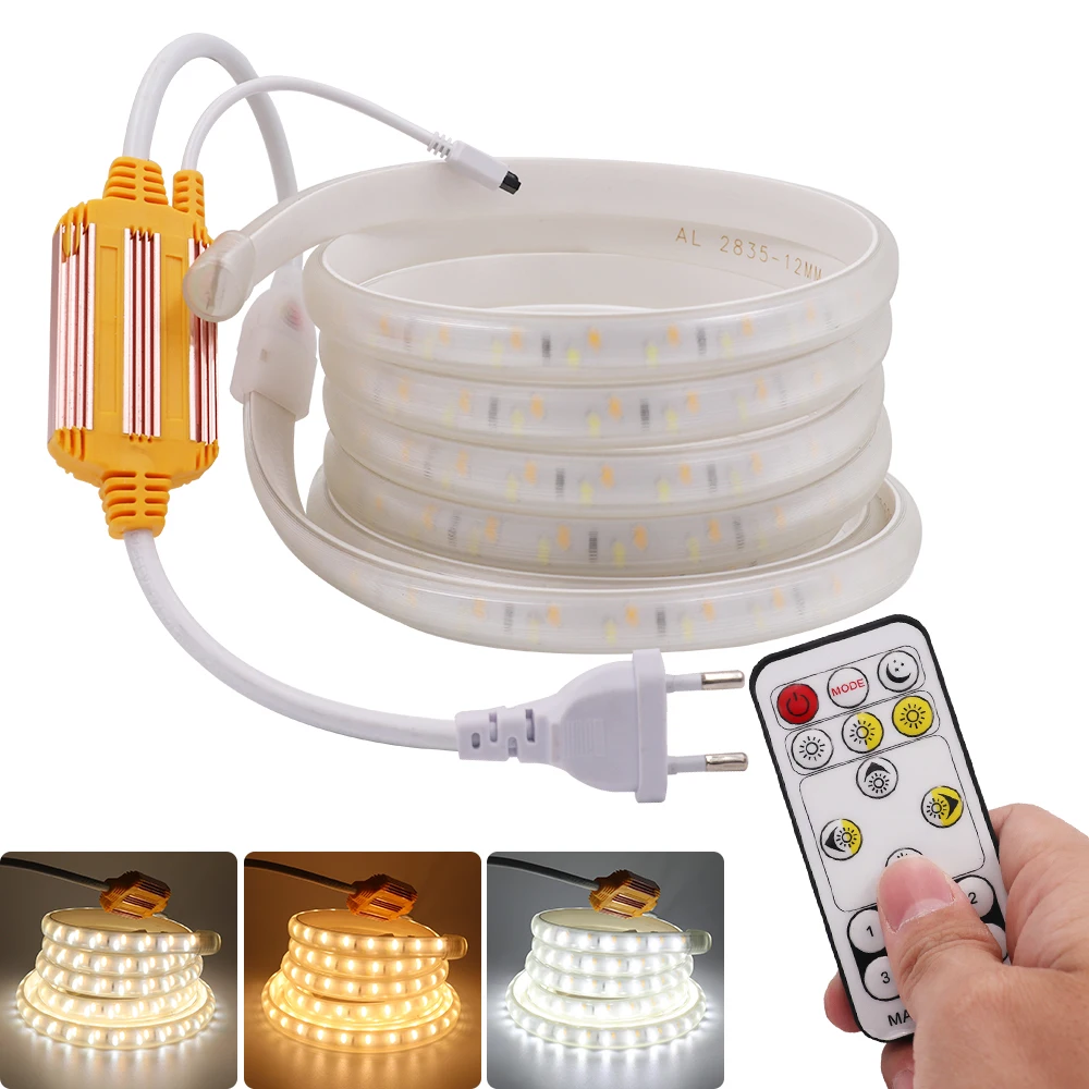 LED Strip 220V IP67 Waterproof With Remote Color Temperature CCT Blue+Warm White 2835 120Leds/m Flexible Ribbon Tape Rope Lights