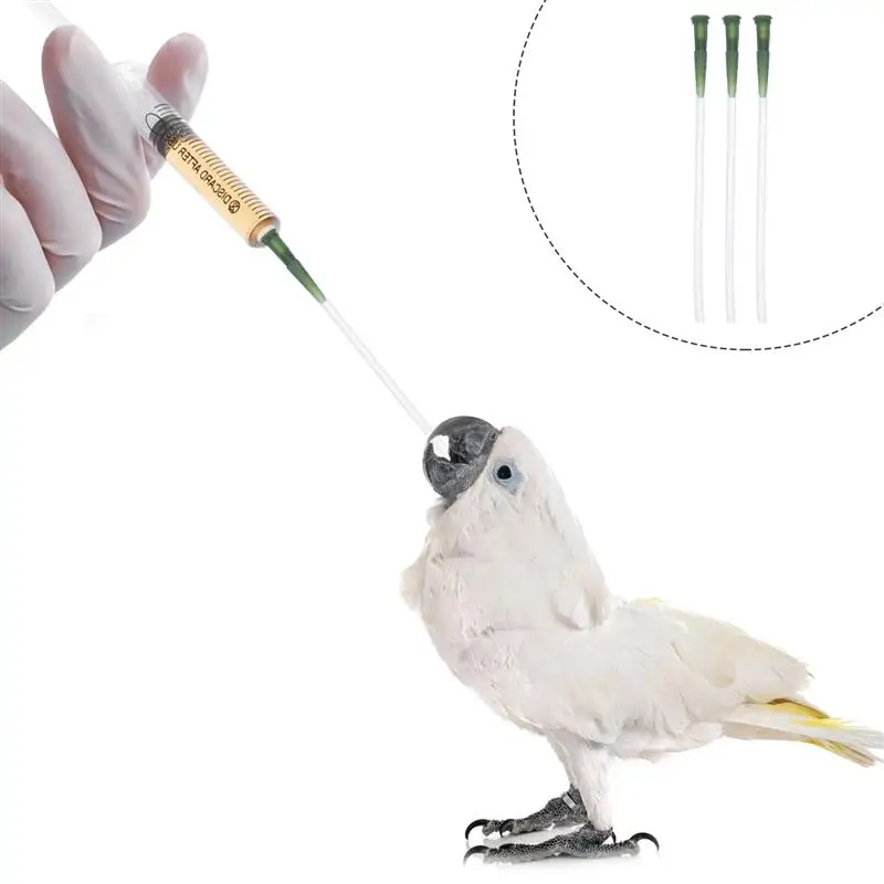

3pcs Hose Young Birds Feeding Tool Feeding Medicine Supply Parrot Baby Bird Feeding Hose Pet Feeder For Bird