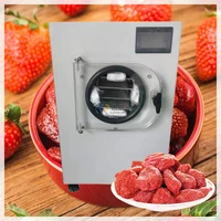 6 8kg vacuum freeze drying dried machines fruit food mini vegetables freezer dryer for sale