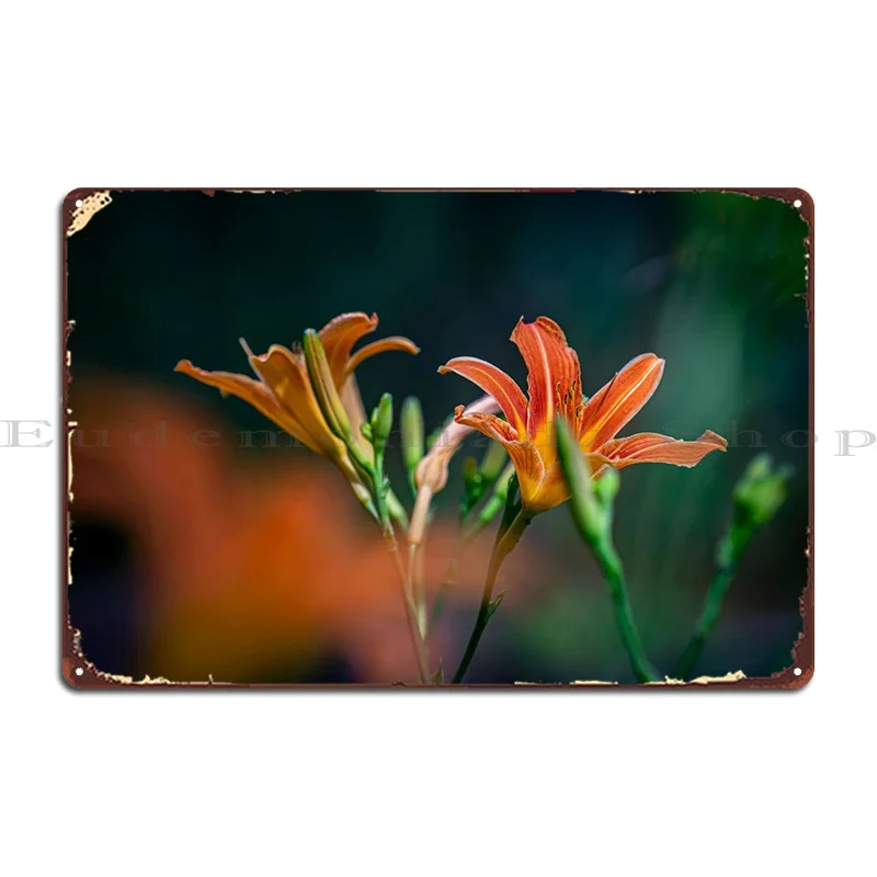 

Flowers In The Garden Metal Plaque Custom Pub Mural Club Living Room Customize Tin Sign Poster