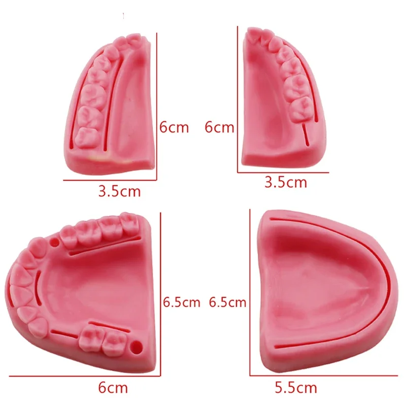 Силиконовая Модель Для Обучения Наложению Зубов Комплект Практики Наложения