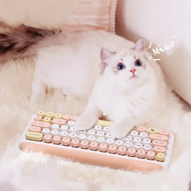 

Игровая механическая клавиатура COLORRECO NAUGHTY CAT с подсветкой