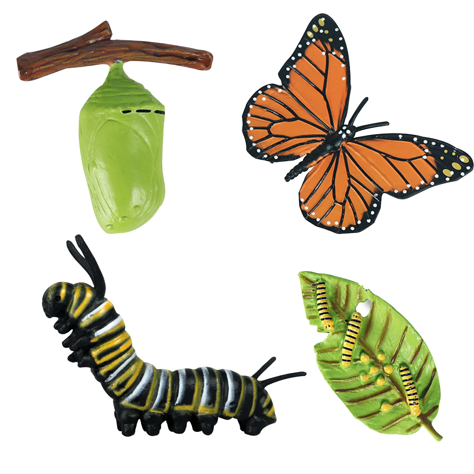 

4pcs Inchworm School Project Toddlers Cognition Growth Model Life Cycle For Kids Insect Figurine Preschool Learning