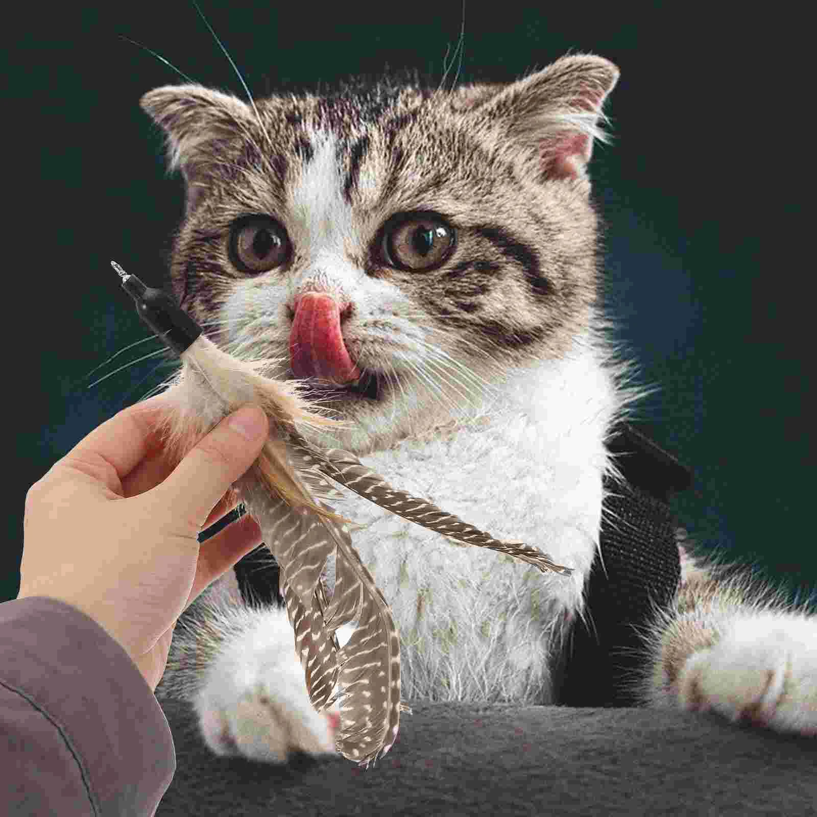 

8 Pcs Cat Teaser Refill Pearl Set Toys Cats Substitute Cat Toy Wand Kitten Plaything Cat Toy Kitten Wand Heads