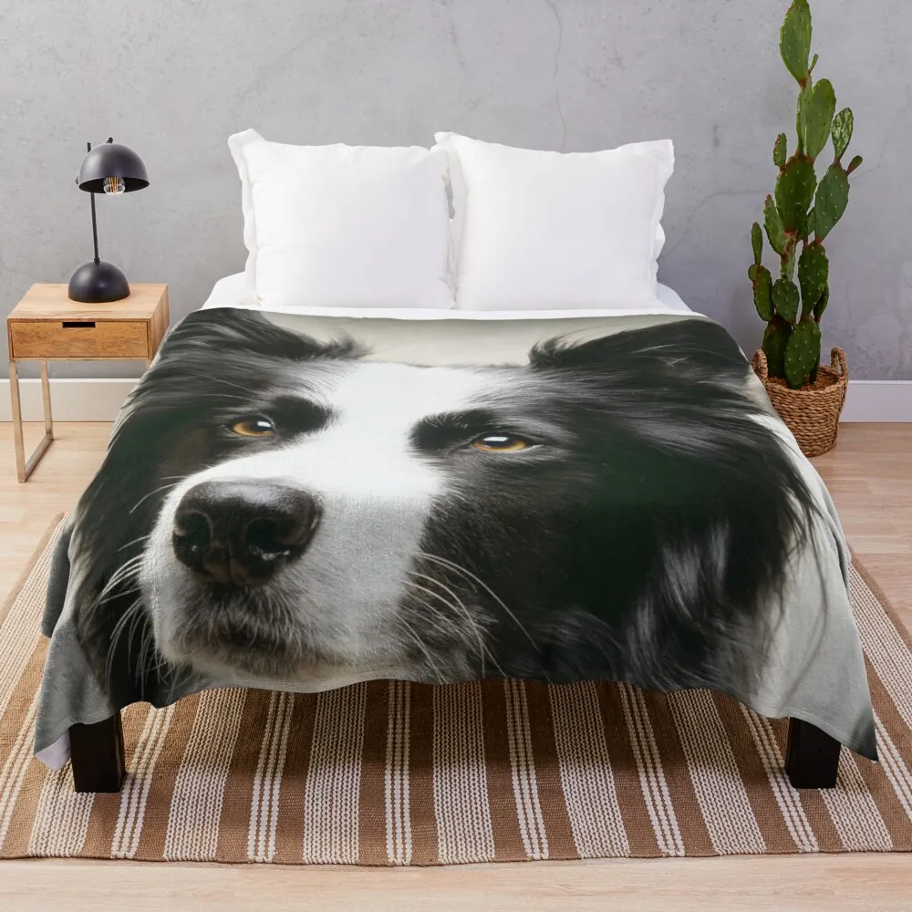 

Working Border Collie Throw Blanket Quilt Blanket Retro