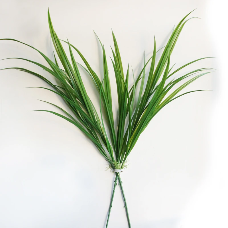 3-крашеная Магнолия цветок орхидеи травяная линия рассады травы широколистная