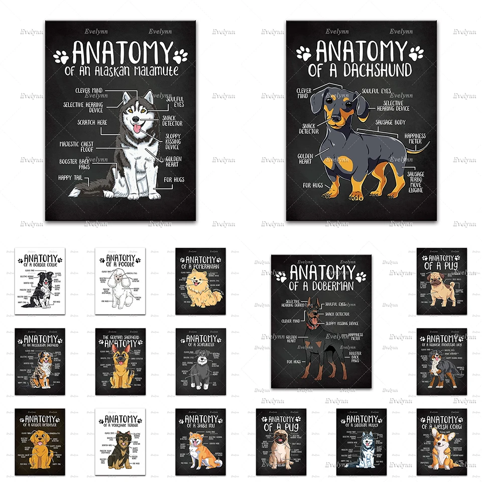 

Doberman Poodle Malamute Shiba Inu Husky Pug Border Collie Dachshund Dog Anatomy Canvas Poster Animal Wall Art Prints Home Decor