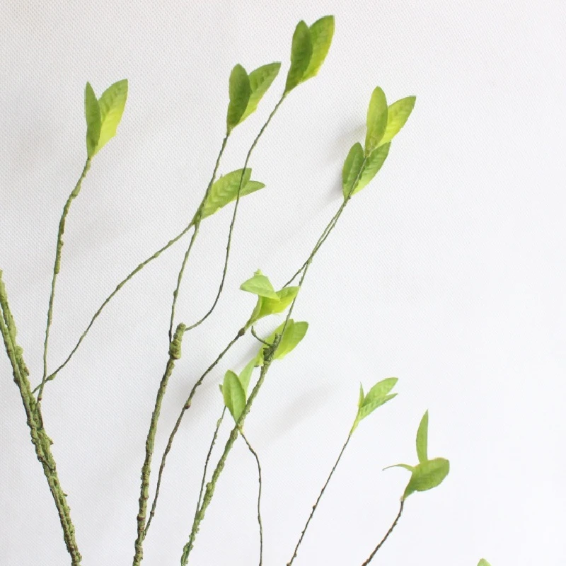 Lobular виноградные бутоны искусственная пена ветки зеленые мягкие листья |