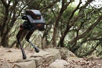 Робот LIMX Dynamic P1#3