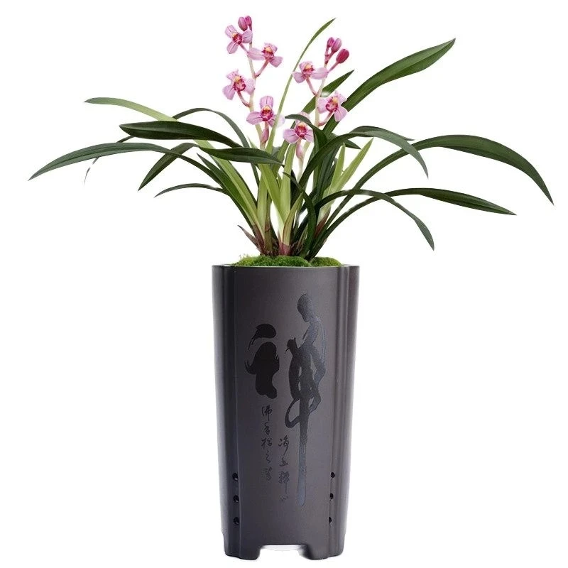 

Indoor Green Plant Desktop Potted Gentleman Orchid Hanging Orchid Special Pot Ceramic High Pot Large Breathable Purple Sand Pot